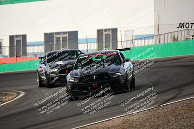 media/Feb-25-2024-Speed Ventures (Sun) [[b9a2a97a4d]]/Mustang Drivers Club/Session 1 (Turns 4 and 5)/
